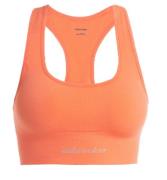 Icebreaker Women Merino Seamless Active Bra Tang