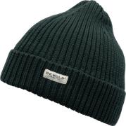 Devold Skolma Beanie Woods