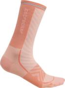 Icebreaker Women Merino Run+ Ultralight Crew Glow/Tang