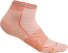 Icebreaker Women's Merino Run+ Ultralight Mini Glow/Tang