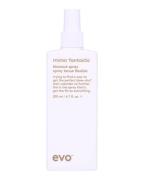 Evo Mister Fantastic Blowout Spray 200 ml