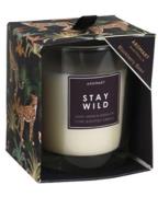 Excellent Houseware Stay Wild Duftlys Sweet Grass & Dandelion 200 g