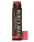 Burt's Bees Tinted Lip Balm Rose 4 g