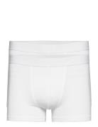 Boxer Brief Modal 2-Pack Boksershorts White Bread & Boxers
