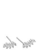 Theodora Studs Silver White Accessories Jewellery Earrings Studs Silve...