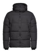 Cfwilson 0085 Short Puffer Jacket Fôret Jakke Black Casual Friday