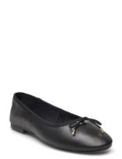 Blossoms Ballerina Ballerinasko Ballerinaer Black Steve Madden