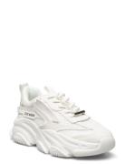Possession-E Sneaker Lave Sneakers White Steve Madden