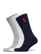 Big Pony Crew Sock 3-Pack Underwear Socks Regular Socks Grey Polo Ralp...