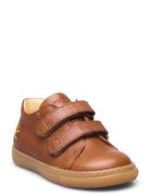 Shoes - Flat - With Velcro Lave Sneakers Brown ANGULUS