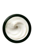 Dr. Weil Mega-Mushroom Skin Relief & Resilience Soothing Cream Dagkrem...