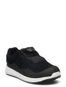 Dannie Lace Tex Lave Sneakers Black Bundgaard