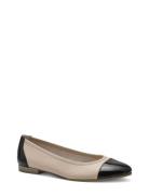 Woms Ballerina Ballerinasko Ballerinaer Cream Tamaris