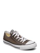 Chuck Taylor All Star Lave Sneakers Brown Converse