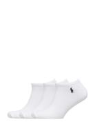 Low-Cut Sock 3-Pack Ankelsokker Korte Strømper White Polo Ralph Lauren...