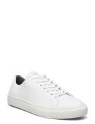 Less Leather Shoe Lave Sneakers White Sneaky Steve