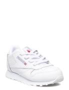 Cl Lthr Lave Sneakers White Reebok Classics