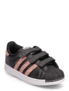 Superstar Cf C Lave Sneakers Black Adidas Originals
