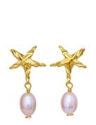 Sandie Earrings Accessories Jewellery Earrings Studs Gold Maanesten