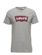 Graphic Setin Neck Graphic H21 Tops T-shirts Short-sleeved Grey LEVI´S...