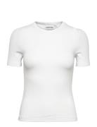 Modal Rib Crew Neck Tee Tops T-shirts & Tops Short-sleeved White Calvi...