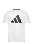 Run It T-Shirt Sport T-shirts Short-sleeved White Adidas Performance