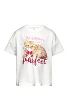 Top Winter Holiday Young Girl Tops T-shirts Short-sleeved White Lindex