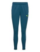 Individualblaze Training Pants Sport Sport Pants Blue PUMA