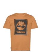 Stack Logo Short Sleeve Tee Wheat Boot/Black Designers T-shirts Short-...