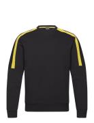 Sweatshirts Tops Sweat-shirts & Hoodies Sweat-shirts Black EA7