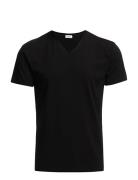 M. Lycra V-Neck Tee Tops T-shirts Short-sleeved Black Filippa K