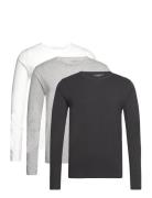 3P Ls Tee Tops T-shirts Long-sleeved Black Tommy Hilfiger