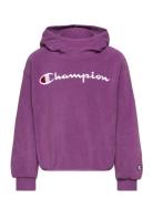 Hooded Sweatshirt Sport Sweat-shirts & Hoodies Hoodies Purple Champion