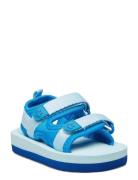 Zola Shoes Summer Shoes Sandals Blue Molo