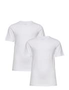 Basic 32 -T-Shirt Ss Tops T-shirts Short-sleeved White Minymo