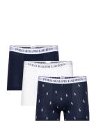 Classic Stretch-Cotton Trunk 3-Pack Boksershorts Navy Polo Ralph Laure...