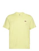 Ss Mapleton Tee Designers T-shirts Short-sleeved Green Dickies