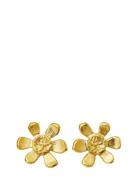 Blossom Earrings Accessories Jewellery Earrings Studs Gold Maanesten