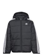 Padded Jacket Fôret Jakke Black Adidas Originals