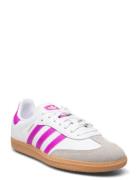 Samba Og J Lave Sneakers Pink Adidas Originals