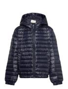 Shiny Light Padded Down Jacket Fôret Jakke Navy GANT