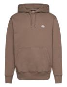 Summerdale Hoodie Tops Sweat-shirts & Hoodies Hoodies Brown Dickies