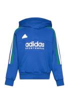 J Np Hoodie Tops Sweat-shirts & Hoodies Hoodies Blue Adidas Sportswear