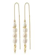 Berthe Pearl Chain Earrings Øredobber Smykker Gold Pilgrim