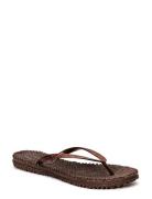 Flip Flop With Glitter Shoes Summer Shoes Sandals Flip Flops Brown Ils...