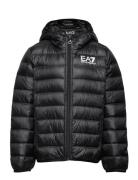 Down Jackets Sport Jackets & Coats Puffer & Padded Black EA7