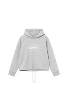 Cropped Merch Hoodie Sport Sweat-shirts & Hoodies Hoodies Grey Cuera