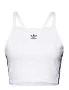 Adicolor 3 Stripes Crop Top Sport Crop Tops Sleeveless Crop Tops White...