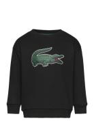 Sweatshirts Sport Sweat-shirts & Hoodies Sweat-shirts Black Lacoste