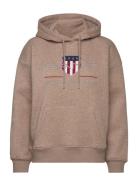 Rel Archive Shield Hoodie Tops Sweat-shirts & Hoodies Hoodies Brown GA...